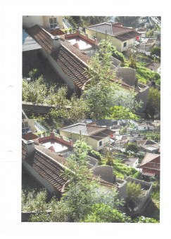 DocScan (7)1